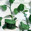 Plant Climbing Wall Fixture Clip (30 Pcs Set)